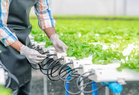 Sustainable Farming